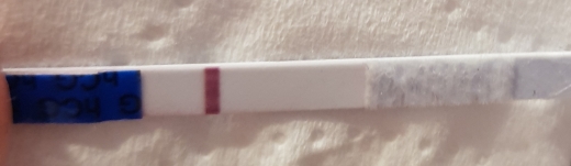 Home Pregnancy Test, 10 Days Post Ovulation