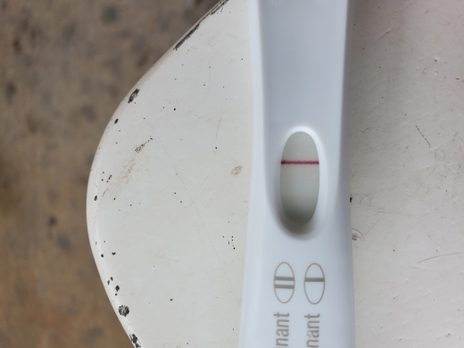 First Response Early Pregnancy Test