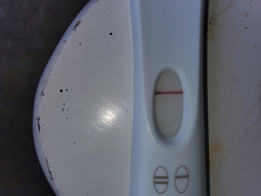 Home Pregnancy Test