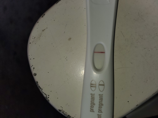 Home Pregnancy Test