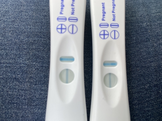 e.p.t. Pregnancy Test