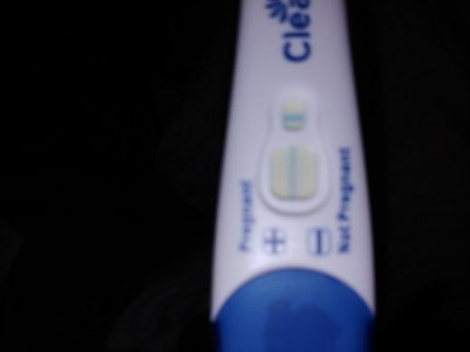Home Pregnancy Test