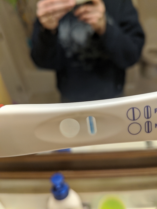 Equate One Step Pregnancy Test, 12 Days Post Ovulation, Cycle Day 26