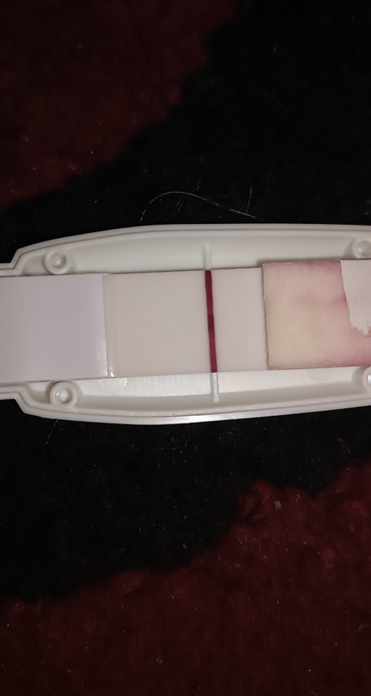 Home Pregnancy Test