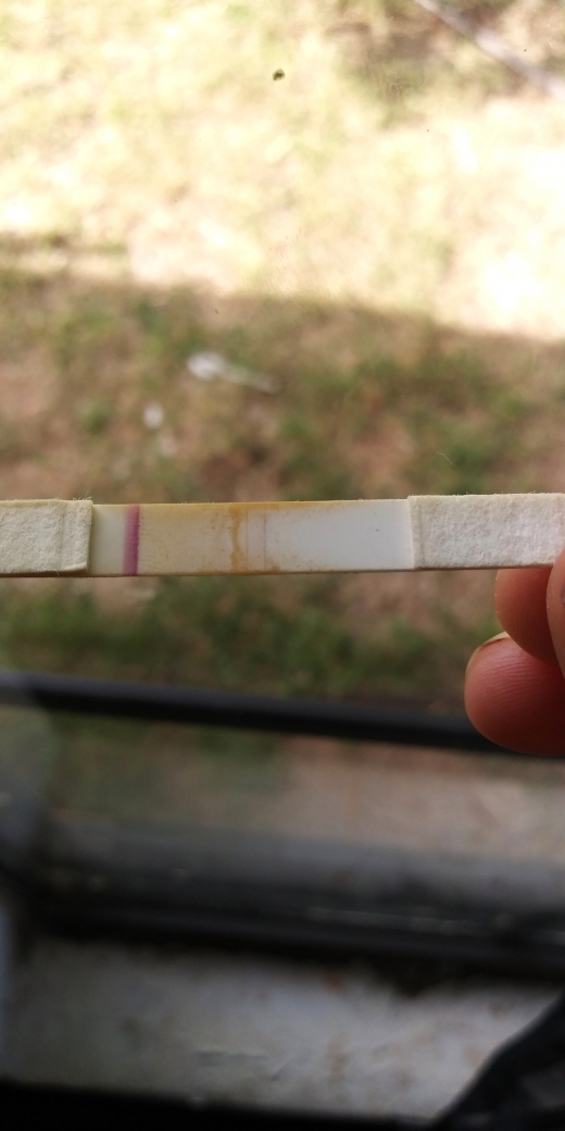 First Response Gold Digital Pregnancy Test, Cycle Day 32