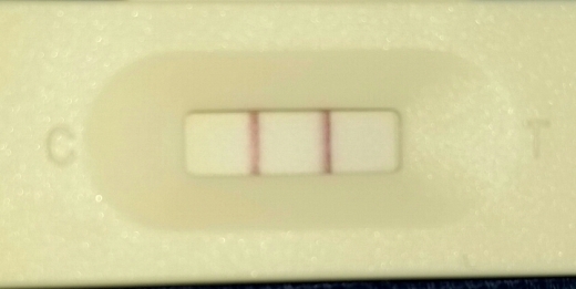 Generic Pregnancy Test, 15 Days Post Ovulation, FMU