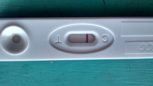 Home Pregnancy Test