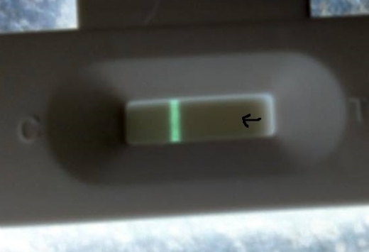 New Choice Pregnancy Test