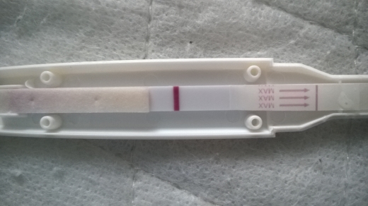 Home Pregnancy Test