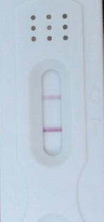New Choice Pregnancy Test, 15 Days Post Ovulation, Cycle Day 29