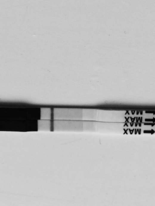 SurePredict Pregnancy Test, 9 Days Post Ovulation