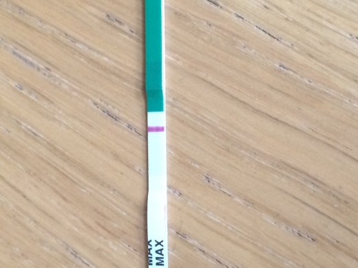 Home Pregnancy Test
