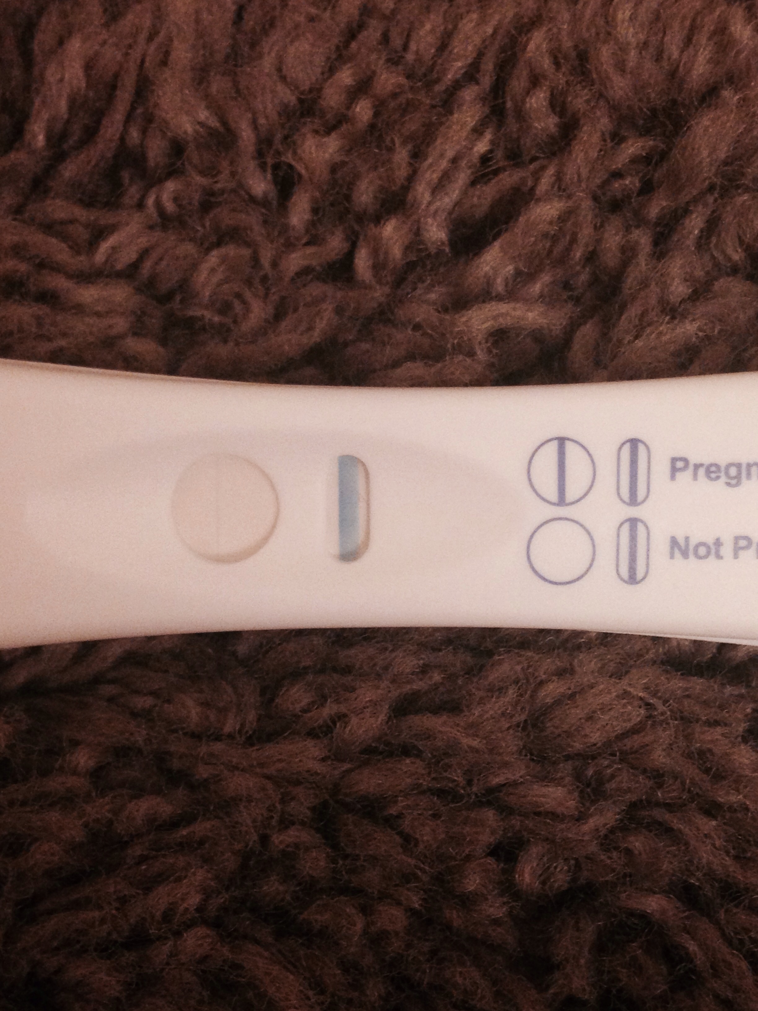 Home Pregnancy Test