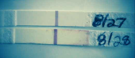 Home Pregnancy Test