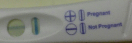 Equate One Step Pregnancy Test