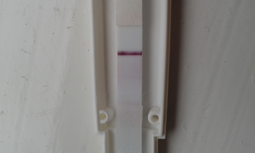 Accu-Clear Pregnancy Test, 11 Days Post Ovulation