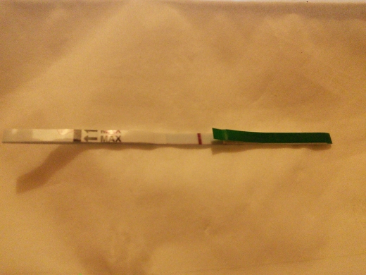 Home Pregnancy Test