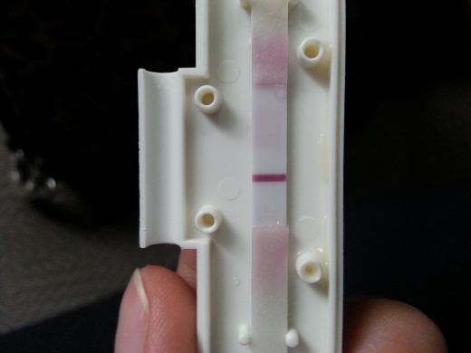 New Choice Pregnancy Test