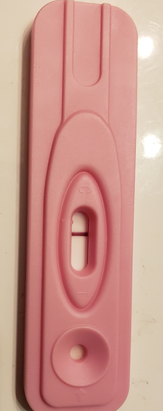Home Pregnancy Test