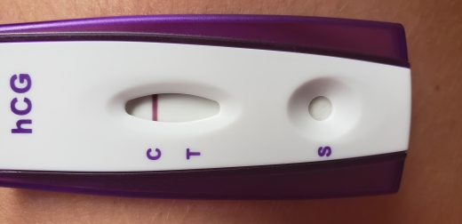 Home Pregnancy Test