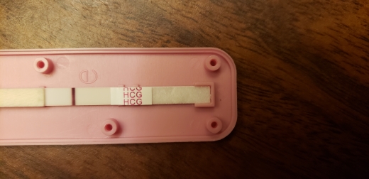Home Pregnancy Test