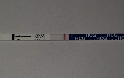 Generic Pregnancy Test