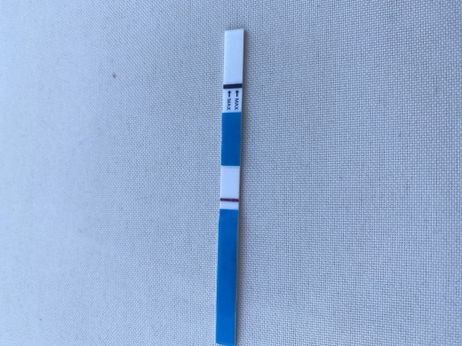 Home Pregnancy Test, 11 Days Post Ovulation
