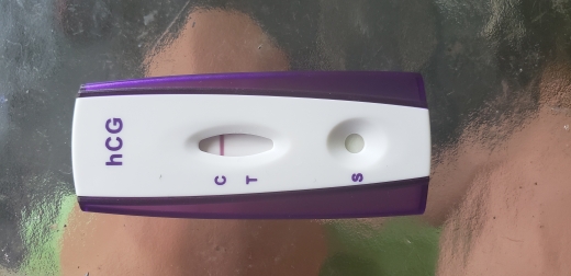Home Pregnancy Test
