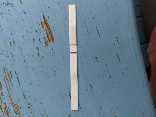 Generic Pregnancy Test, 8 Days Post Ovulation