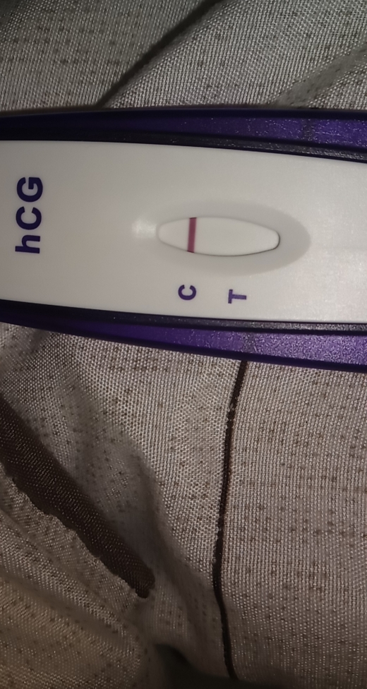Home Pregnancy Test