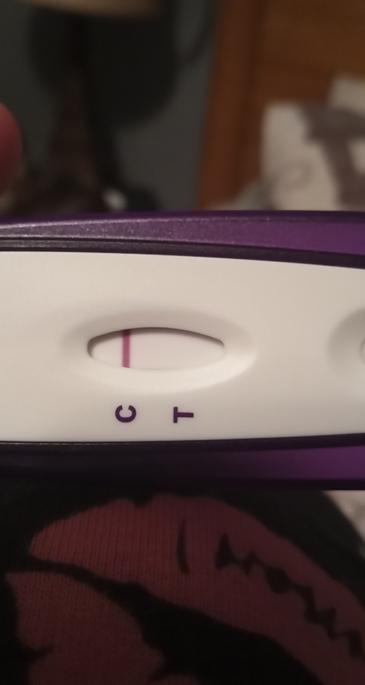 Home Pregnancy Test