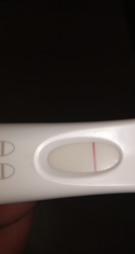 Home Pregnancy Test