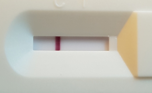 Home Pregnancy Test