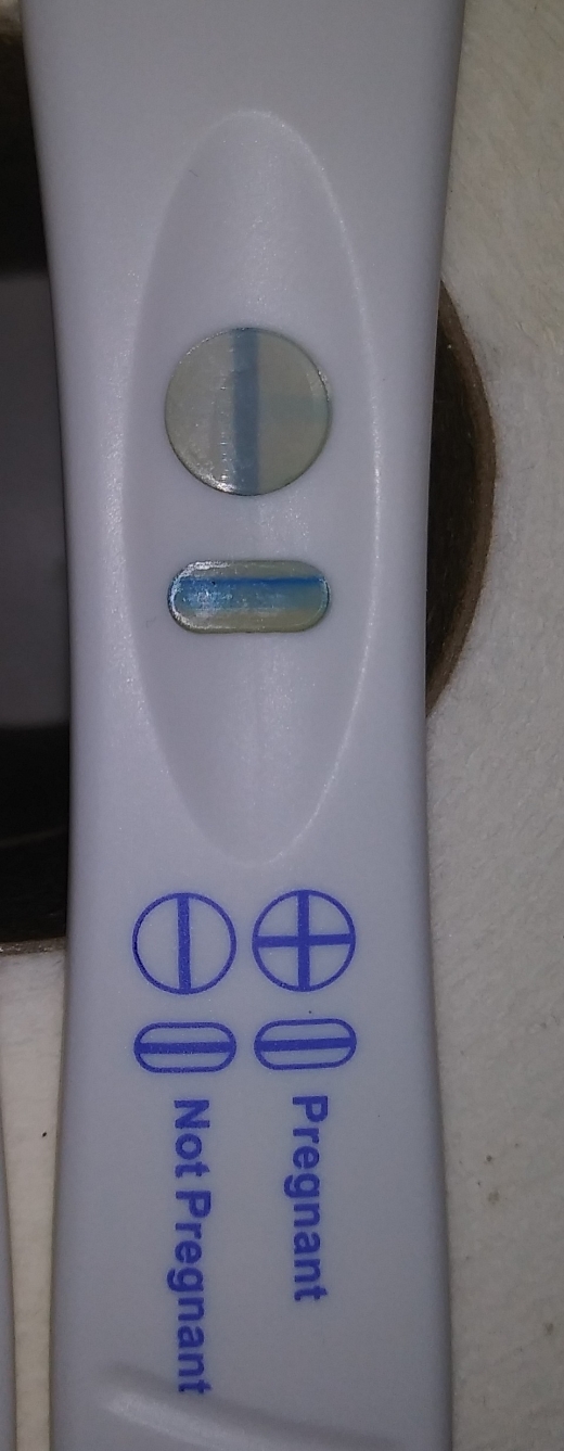 Home Pregnancy Test