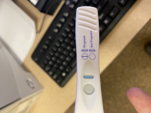 Home Pregnancy Test