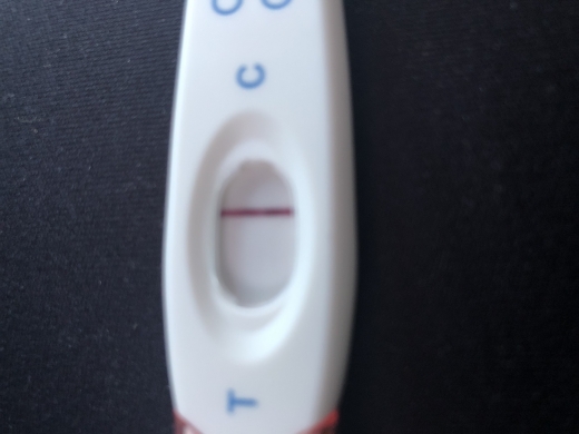Home Pregnancy Test
