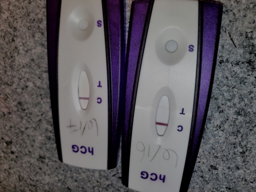 First Signal One Step Pregnancy Test