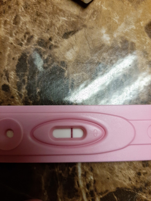 New Choice Pregnancy Test