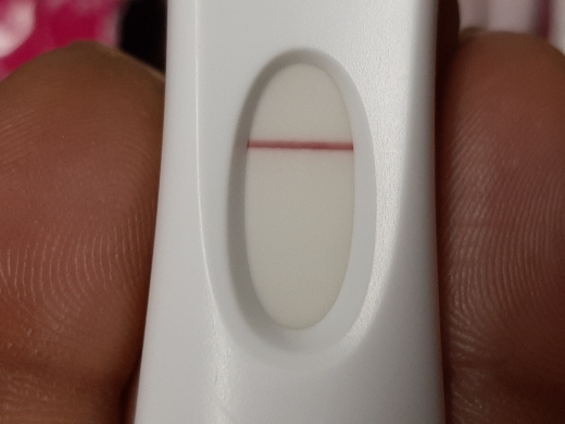 First Response Early Pregnancy Test