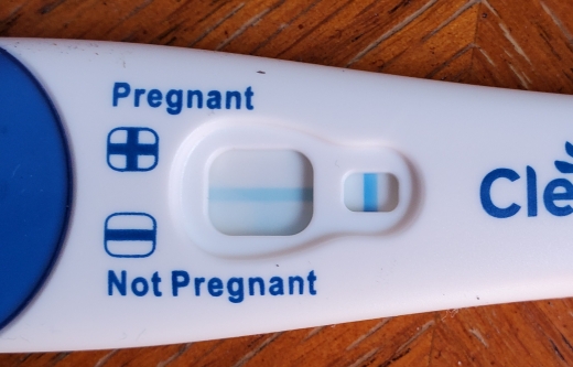 Clearblue Plus Pregnancy Test, 12 Days Post Ovulation