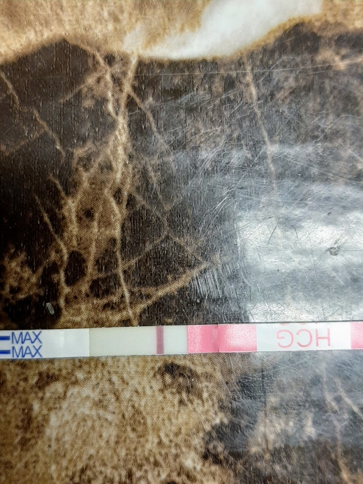 Clinical Guard Pregnancy Test