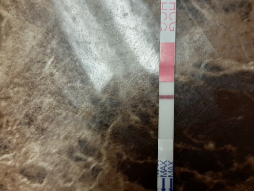 Clinical Guard Pregnancy Test