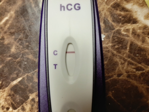 Home Pregnancy Test