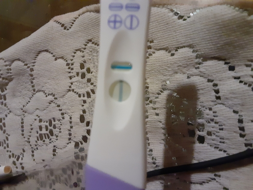 Home Pregnancy Test