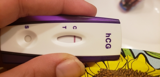Home Pregnancy Test