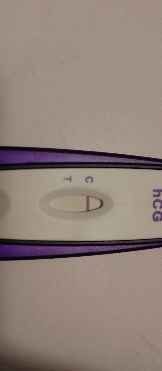 Home Pregnancy Test