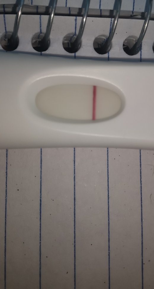 Home Pregnancy Test