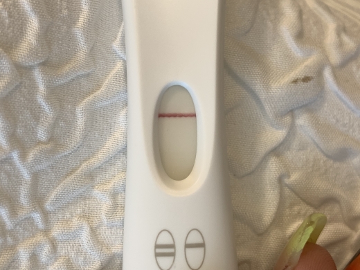 First Response Rapid Pregnancy Test