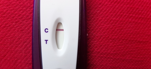 Home Pregnancy Test