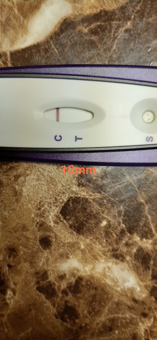 Home Pregnancy Test